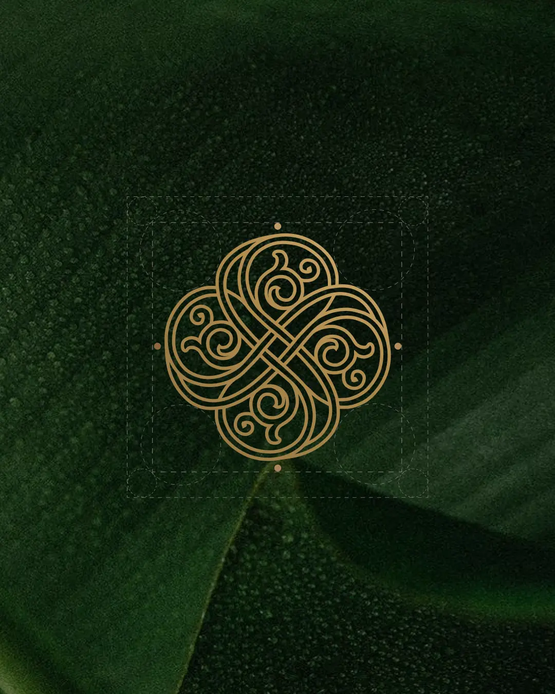 LOHA - Jewelry Branding